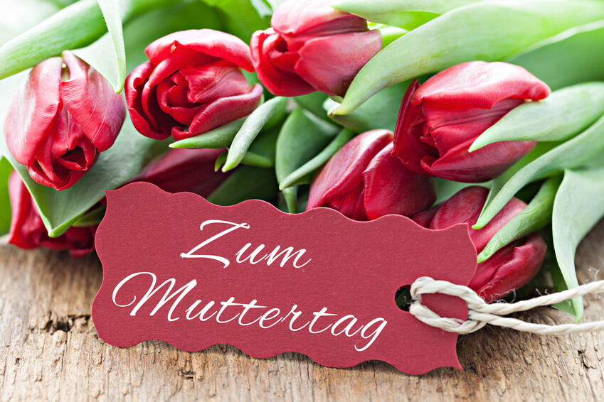Zum Muttertag / for mothers day